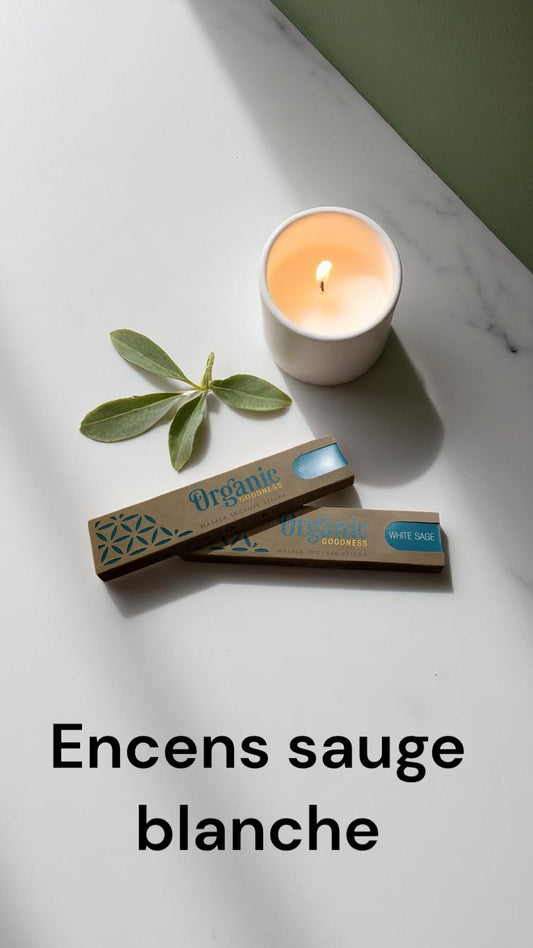 Encens sauge blanche